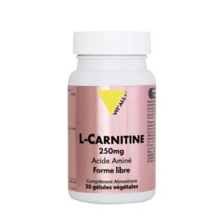 Vit'all+ L Carnitine 250mg 50gelules