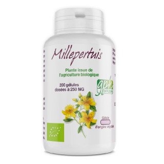 GPH Millepertuis 200gelules 250mg